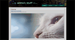 Desktop Screenshot of antonsavov.net